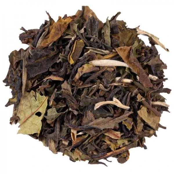 Thé Vert Jasmin BIO